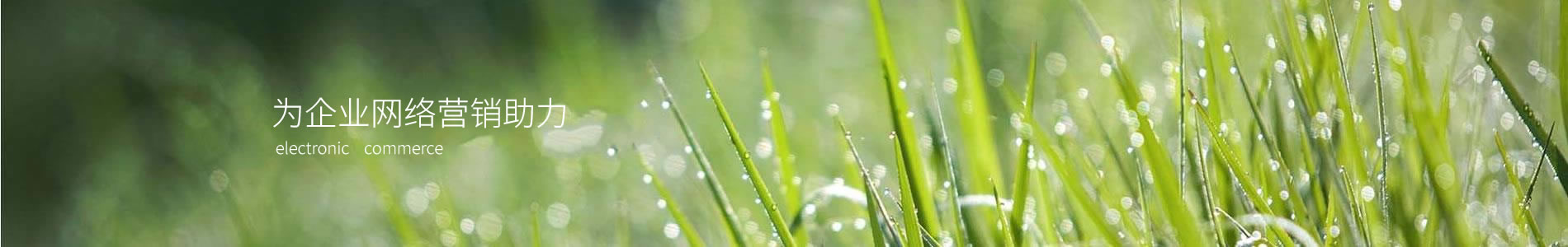 ڿƼ޹˾